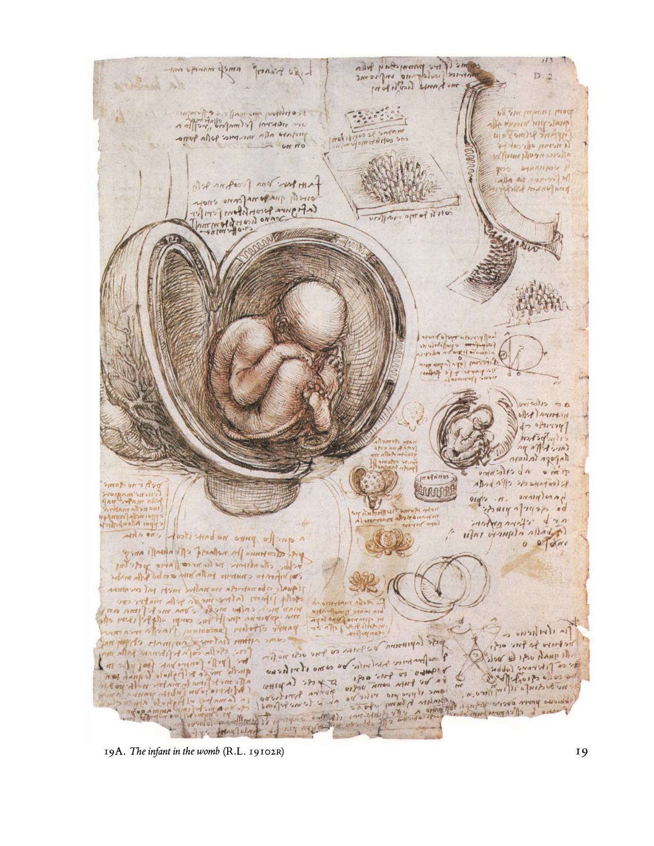 Leonardo da Vinci: Anatomical Drawings from the Royal Library, Windsor Castle